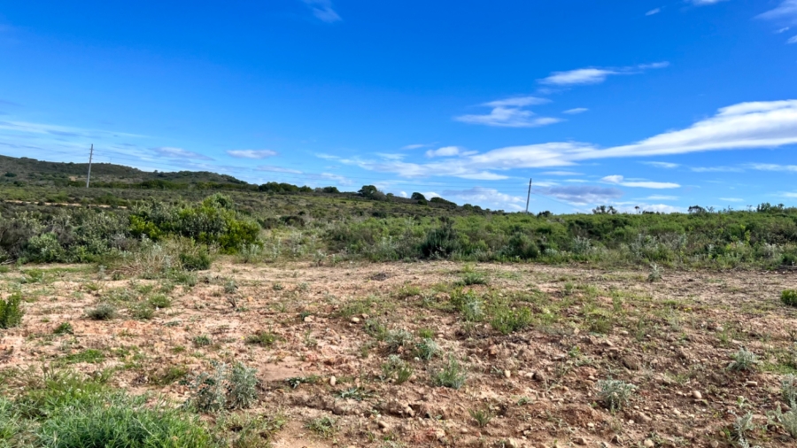  Bedroom Property for Sale in Outeniquasbosch Western Cape
